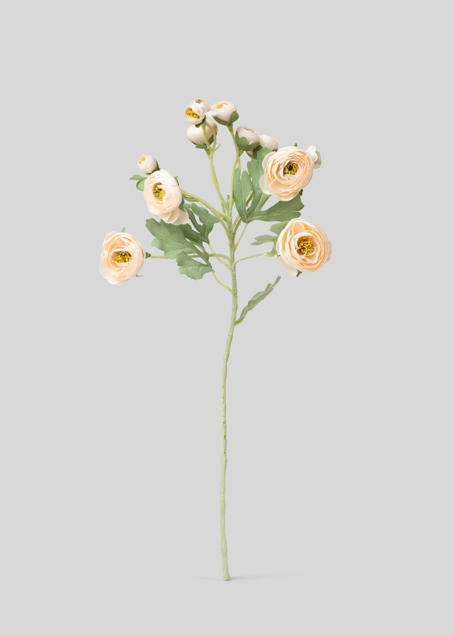 Artificial Blooming Ranunculus Flowers in Blush Peach - 21"