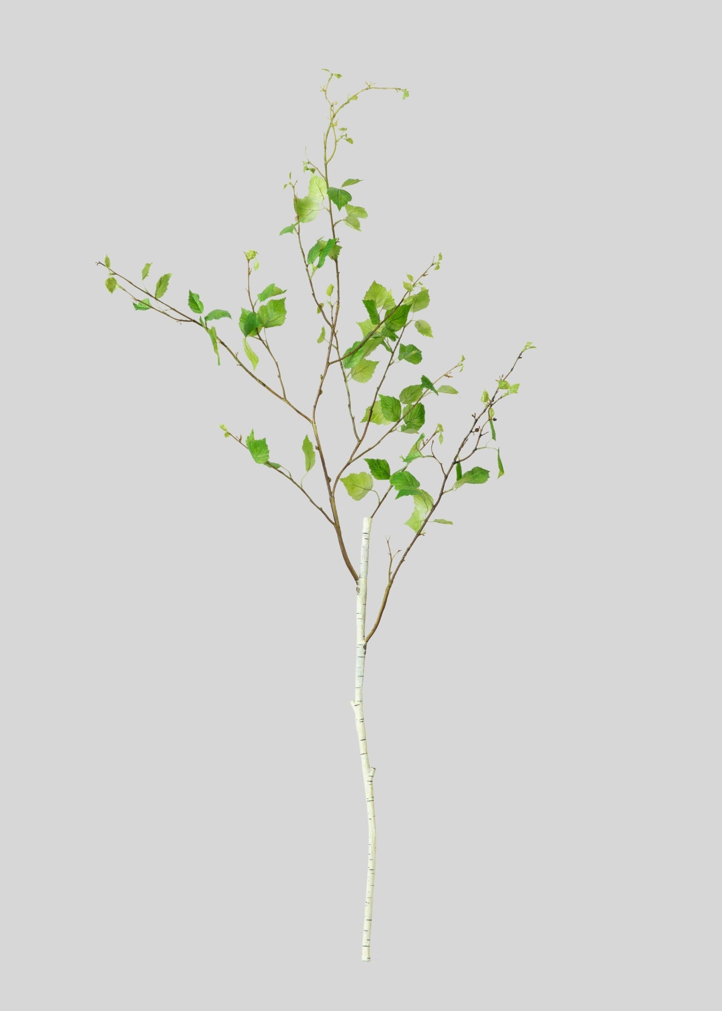 Artificial Birch Leaf Branch - 52"