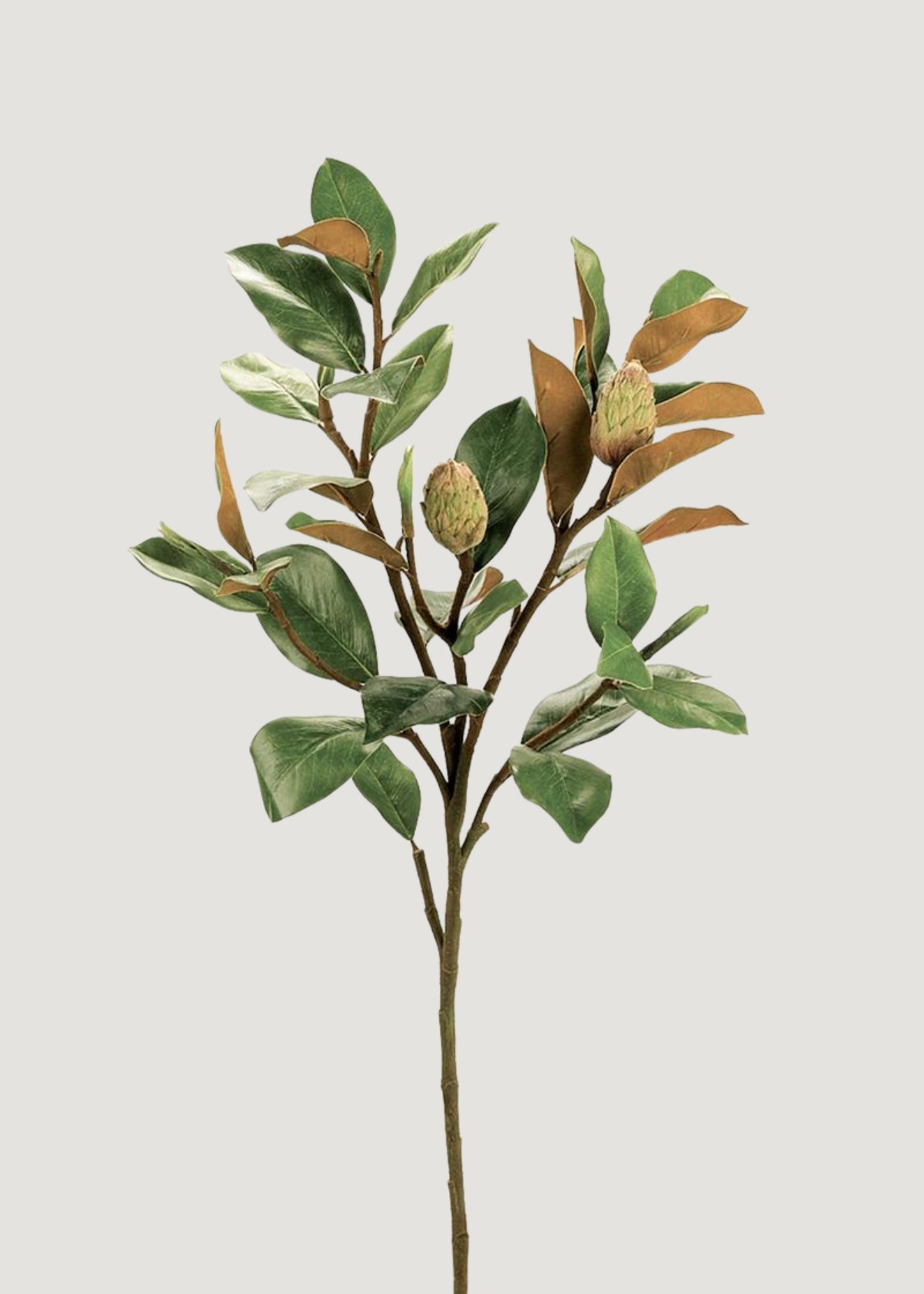 Artificial Budding Magnolia Leaf Branch - 37"