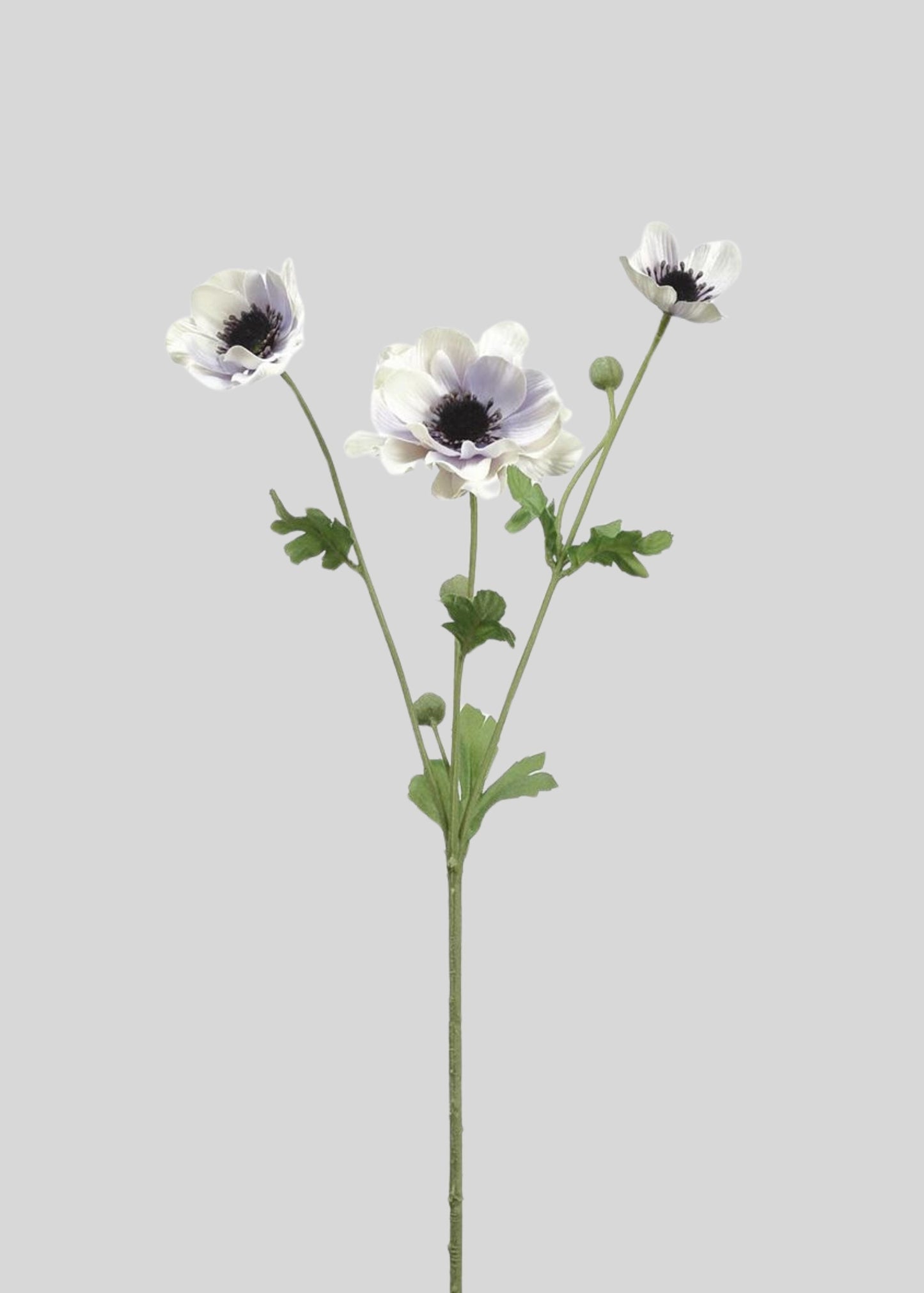 Artificial Anemone Flowers in Lavender Cream - 26"