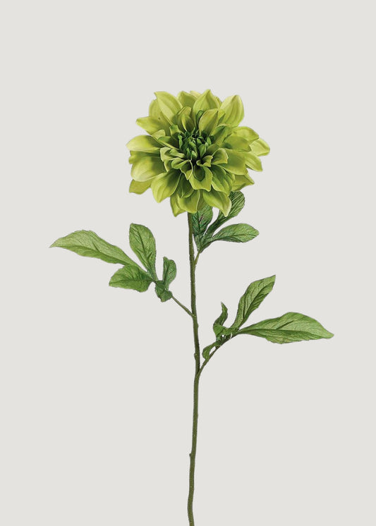 Artificial Dahlia Flower in Green - 29"