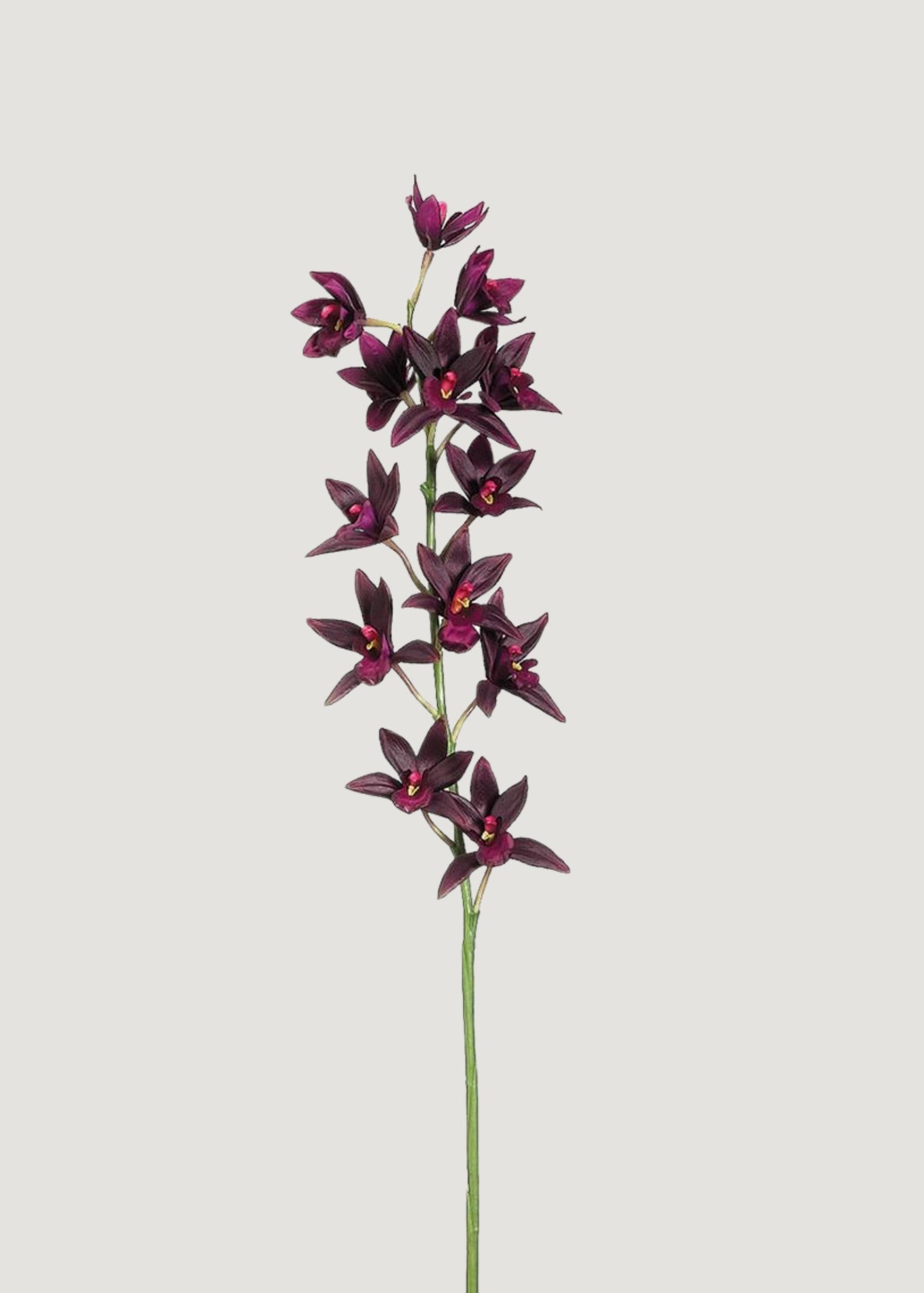 Artificial Cymbidium Orchid in Plum - 38"