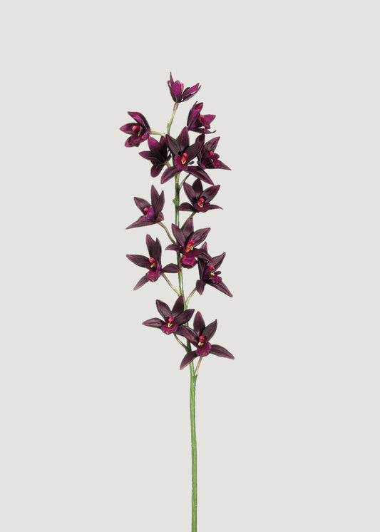 Artificial Cymbidium Orchid in Plum - 38"