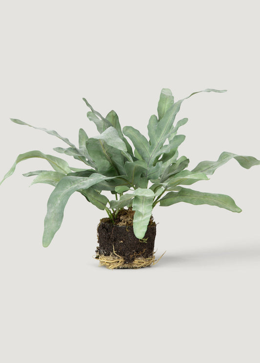 Artificial Echeveria Fern Drop-In Plant - 8.5"
