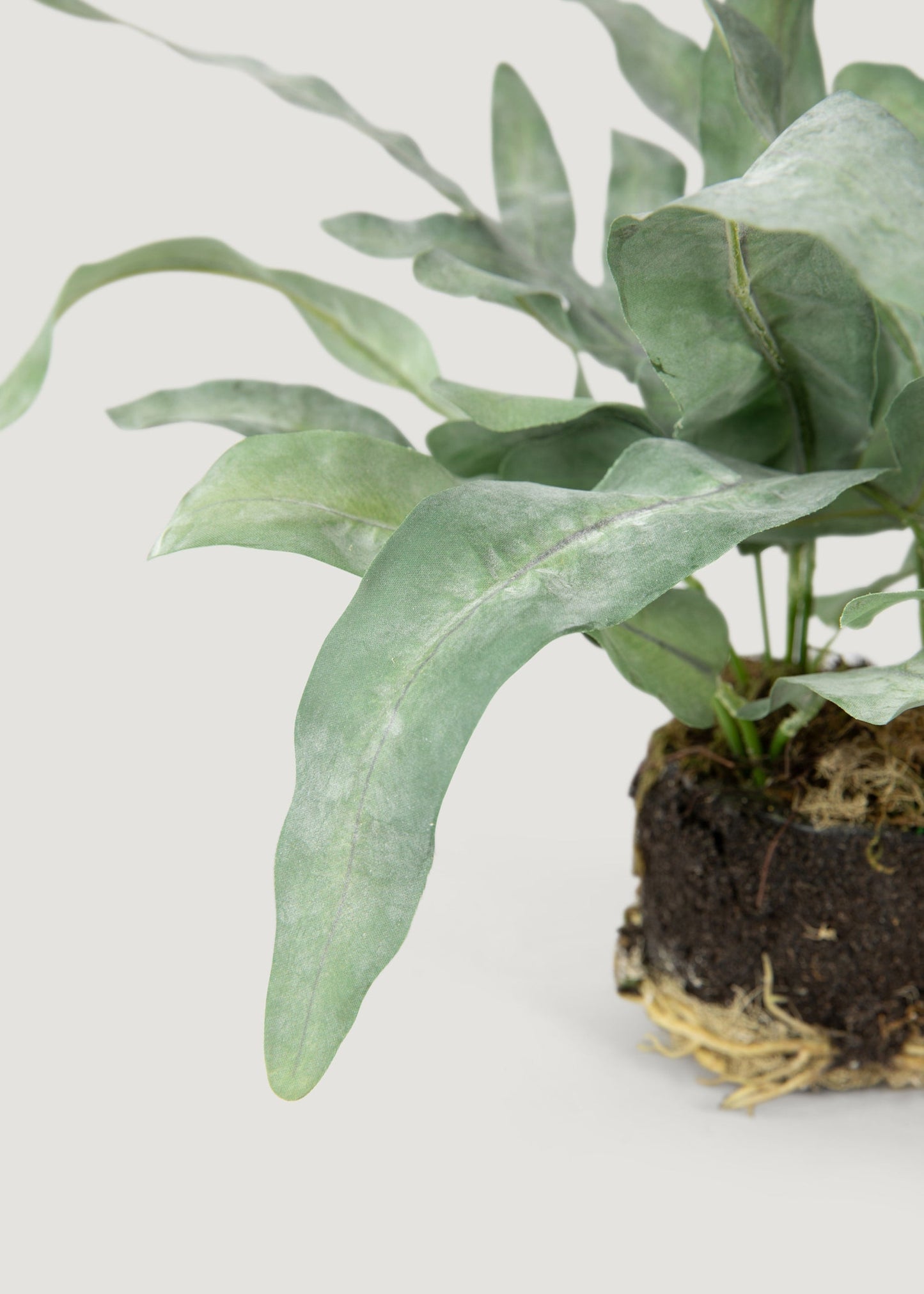 Artificial Echeveria Fern Drop-In Plant - 8.5"