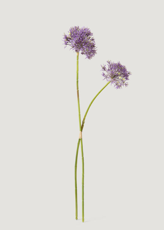 Artificial Allium Wildflower Bundle in Lavender - 30"