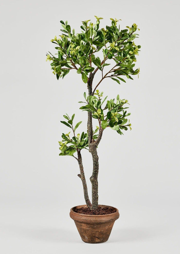 Artificial Japonicus Potted Tree - 39.75"
