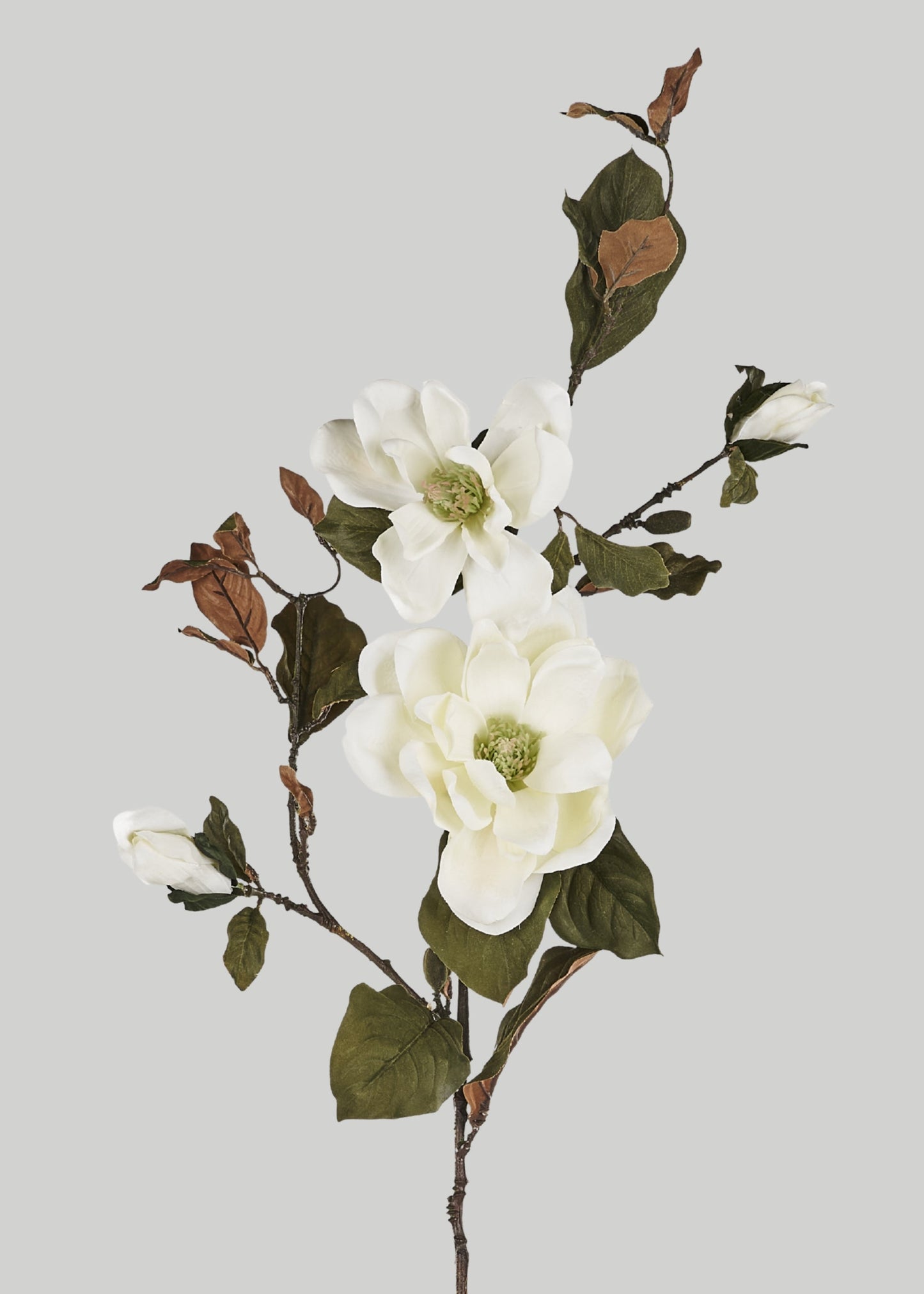Artificial Blooming Magnolia Branch in Cream - 38"