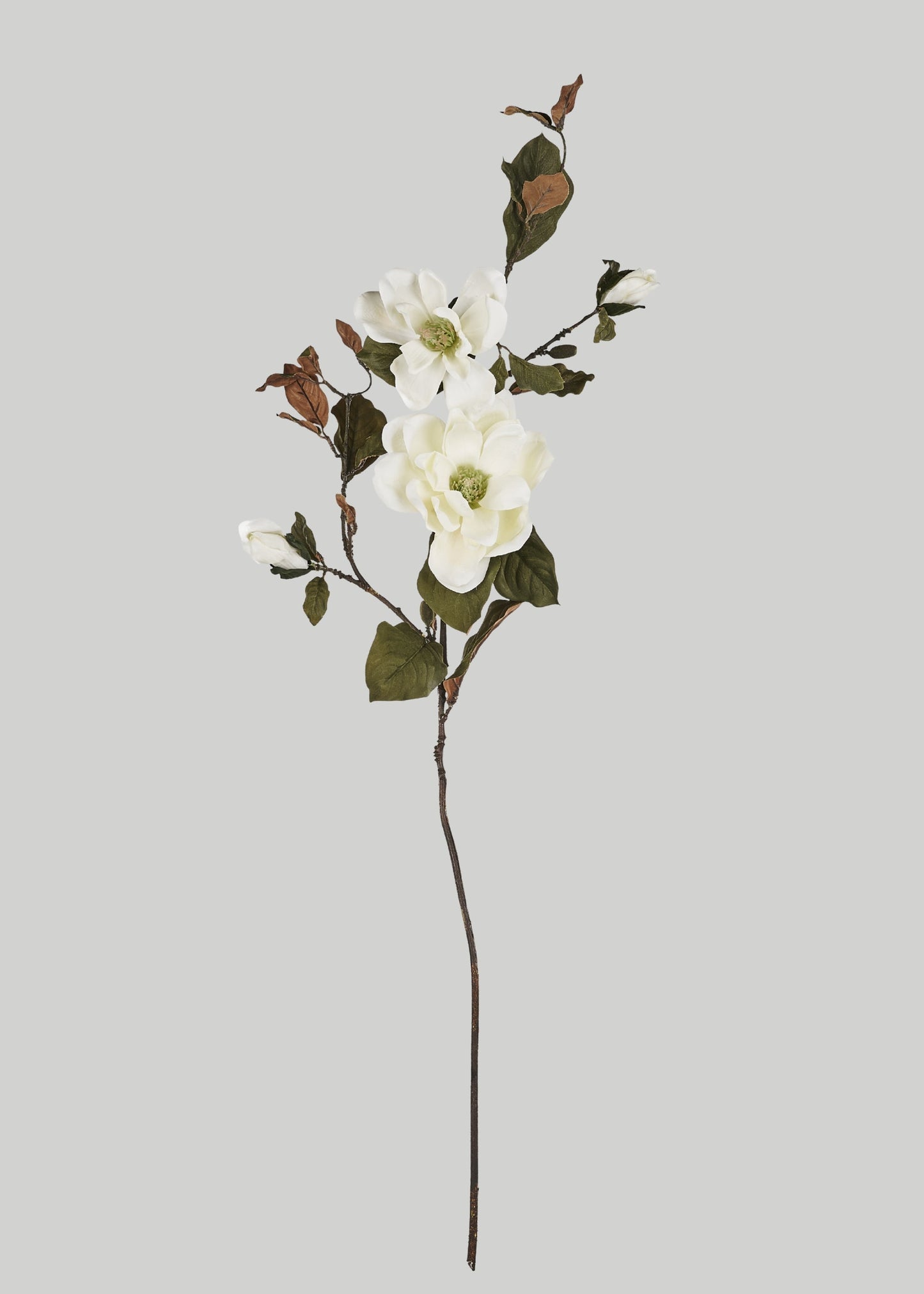 Artificial Blooming Magnolia Branch in Cream - 38"