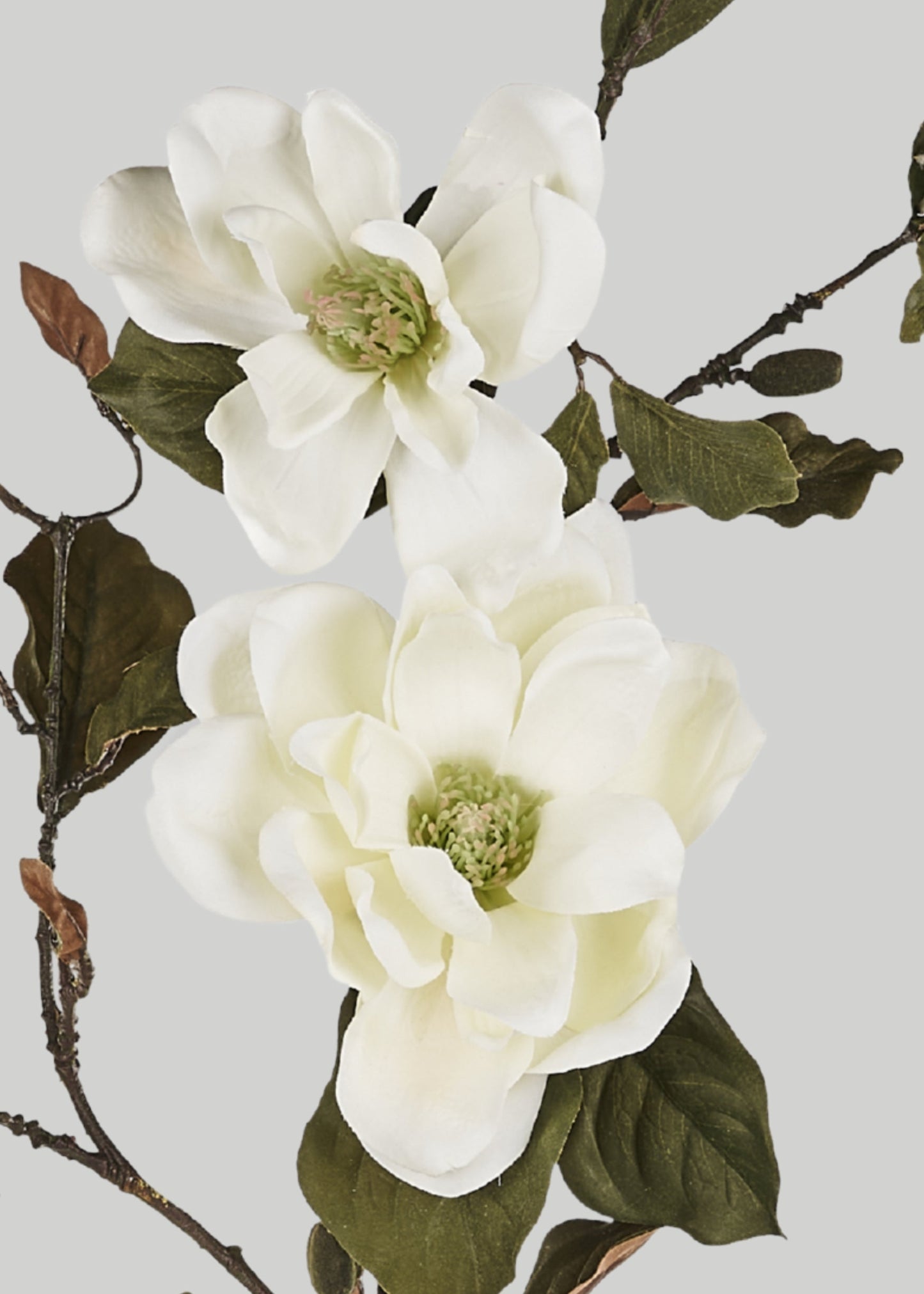 Artificial Blooming Magnolia Branch in Cream - 38"