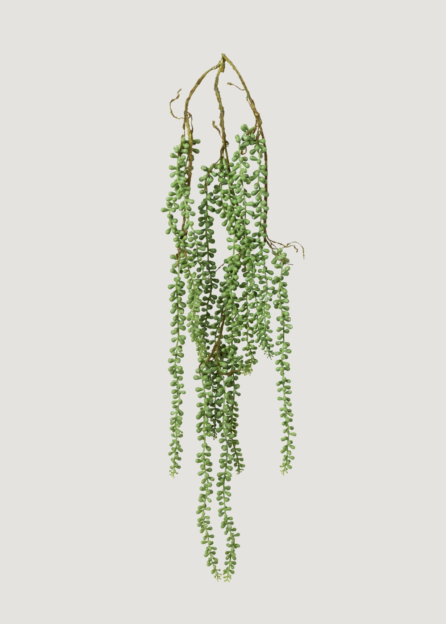 Artificial Hanging String of Pearls Succulent Plant - 34"