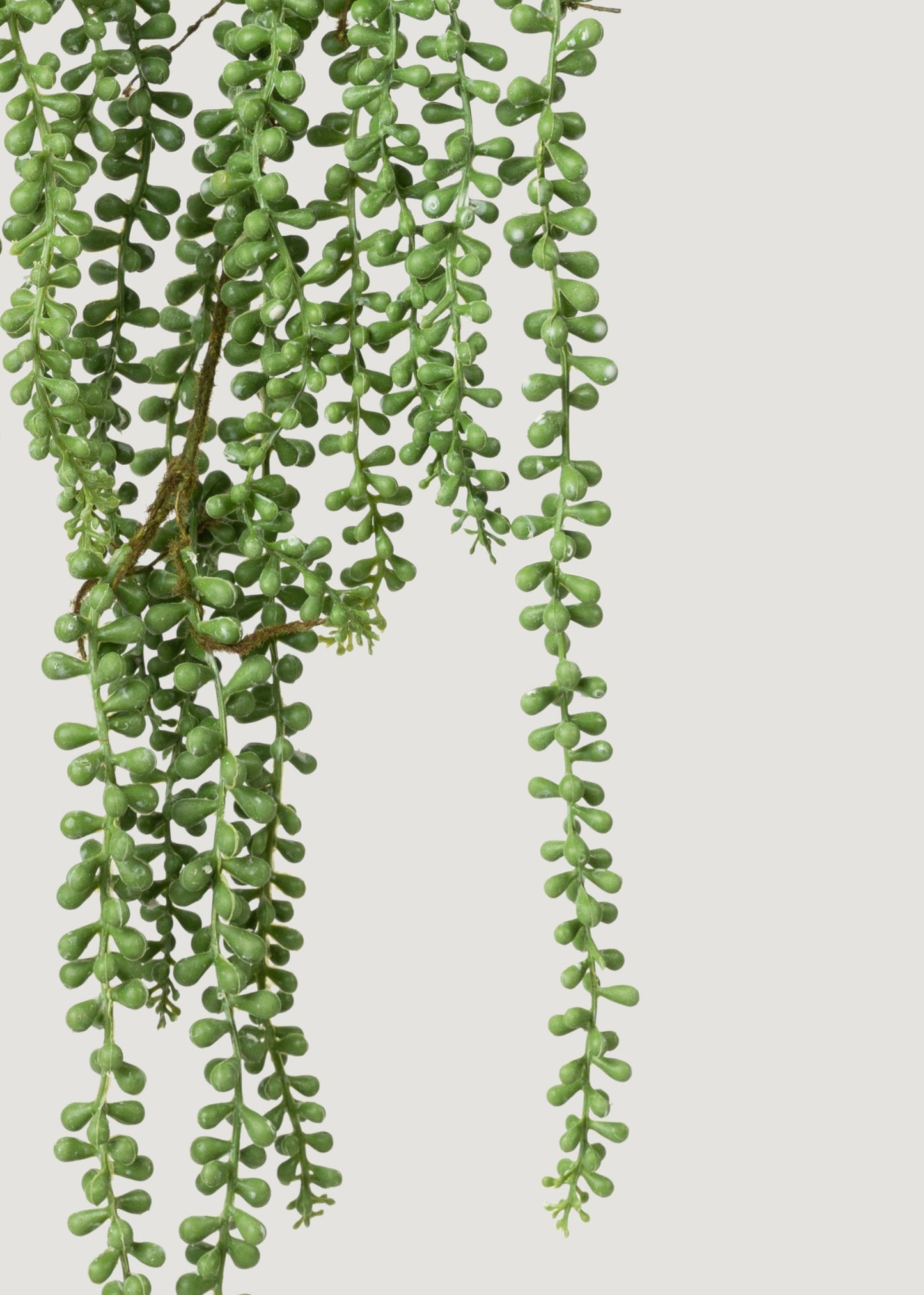 Artificial Hanging String of Pearls Succulent Plant - 34"